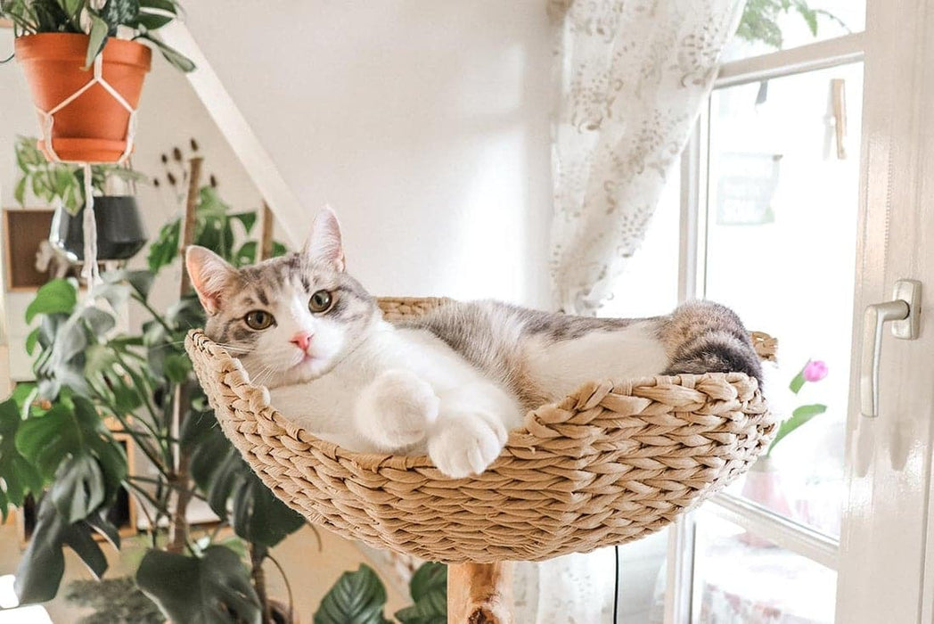 116cm Wooden Cat Tree (Woven Basket) - 02