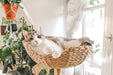 116cm Wooden Cat Tree (Woven Basket) - 02