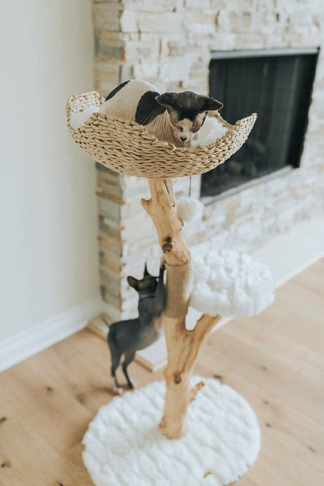 116cm Wooden Cat Tree (Woven Basket) - 07