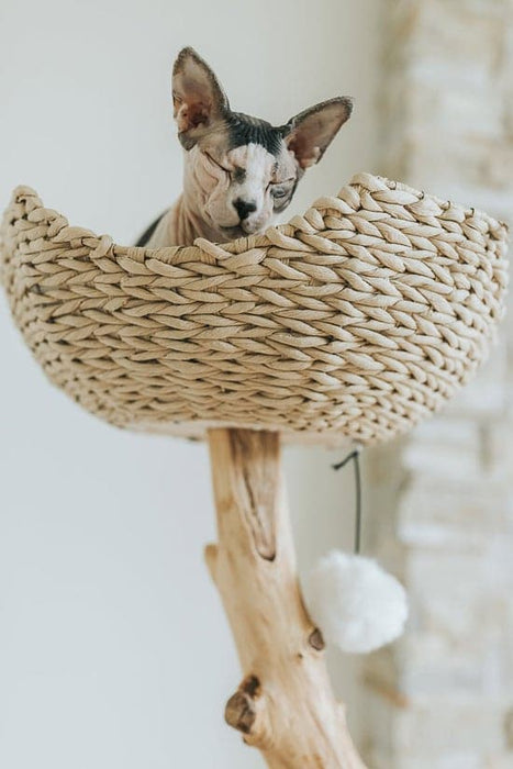 116cm Wooden Cat Tree (Woven Basket) - 09