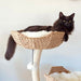 137CM  Wooden Cat Tree 03