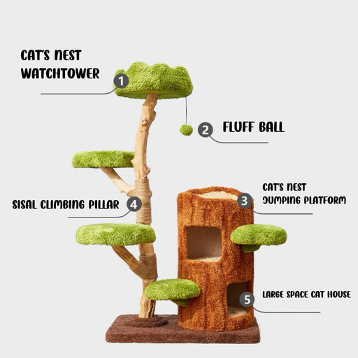 142cm Cmisstree Tree Hole Wooden Cat Tree