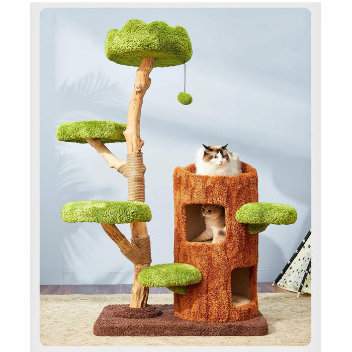 142cm Cmisstree Tree Hole Wooden Cat Tree