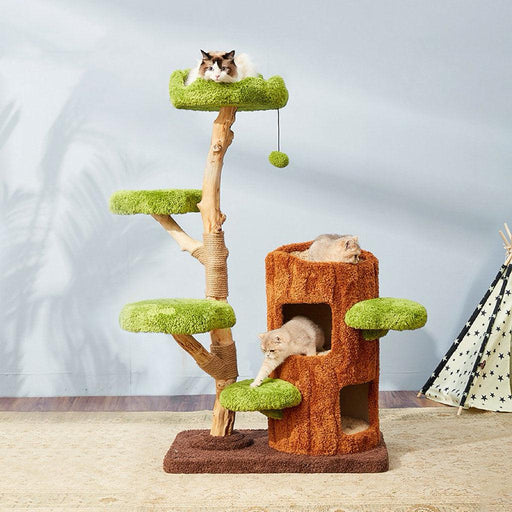 142cm Cmisstree Tree Hole Wooden Cat Tree