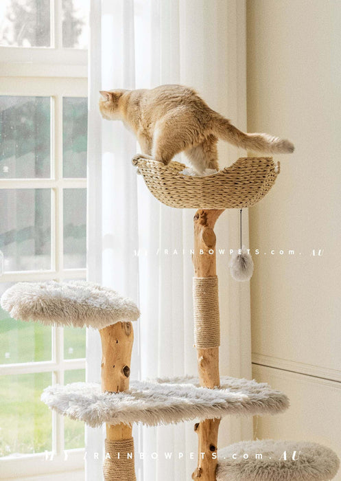 145CM Bamboo Cat Tree 01 - My Rainbow Pets 