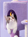 165cm Dream Cat Scratching Tree 04