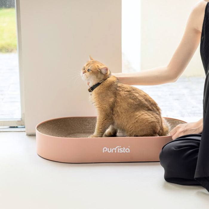 Purrista XL Curved Cat Scratcher | My Rainbow Pets | Pink