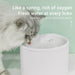 2.5L Macaron Style Simple Pet Water Dispenser 03