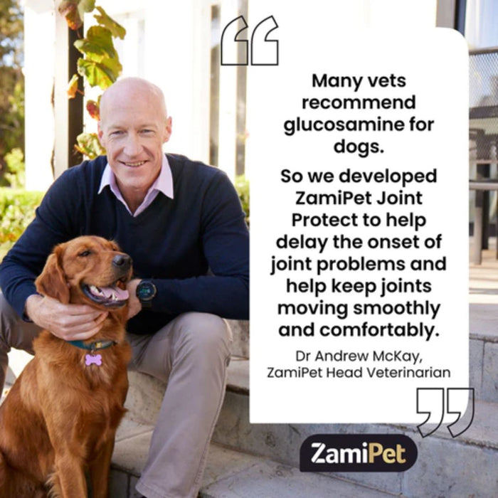 ZamiPet Joint Protect Chewable Dog Supplement