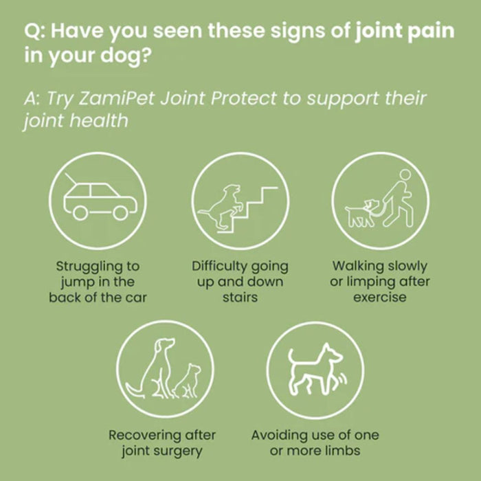 ZamiPet Joint Protect Chewable Dog Supplement