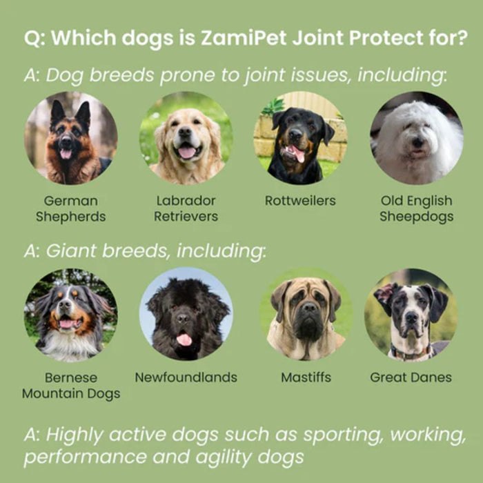 ZamiPet Joint Protect Chewable Dog Supplement