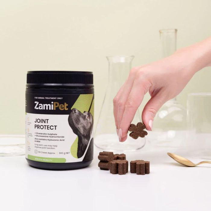 ZamiPet Joint Protect Chewable Dog Supplement