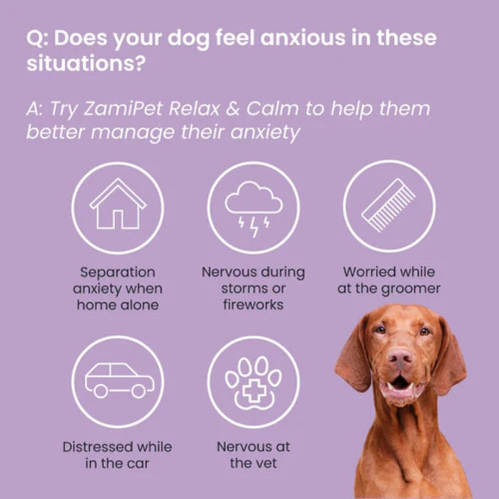 ZamiPet Relax & Calm Chewable Dog Supplement