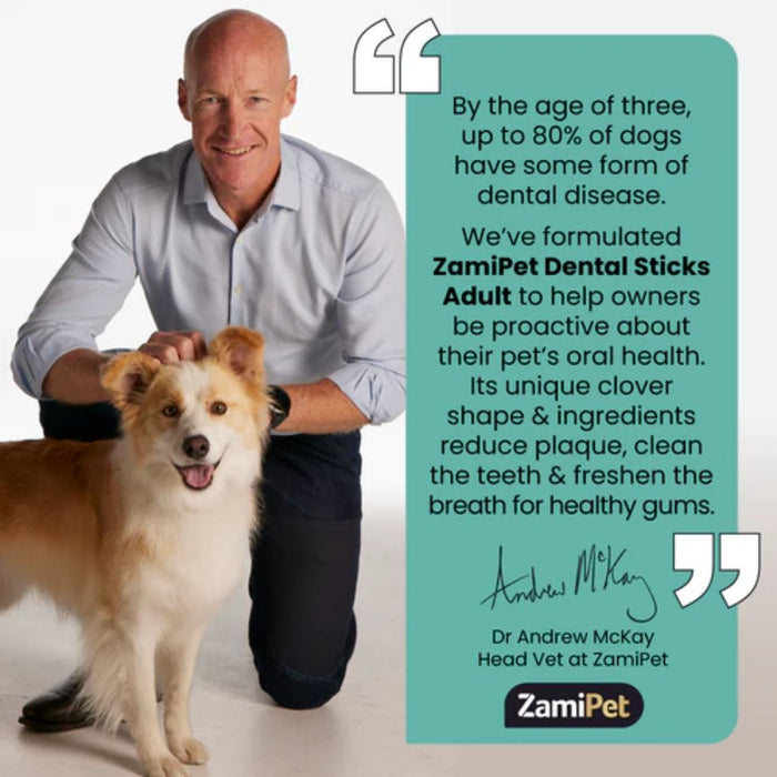 ZamiPet Dental Sticks Adult Small Dogs 190G - 10 Sticks