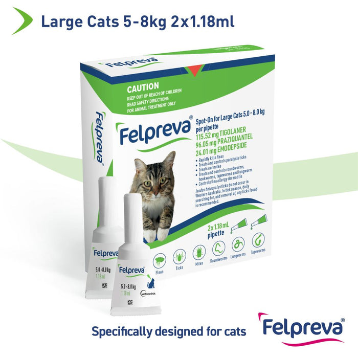 FELPREVA Spot On Solutions For Large Cats - >5KG - 8KG