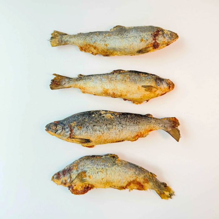 Pawcket Freeze-Dried Raw Salmon Smolt Treat - 30g