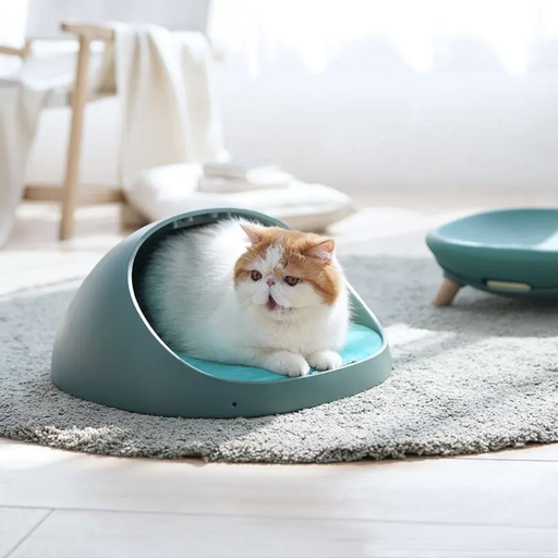 4-in-1 Convertible Bed｜Makesure Pet Bed｜Cat Bed Dog Bed my rainbow pet