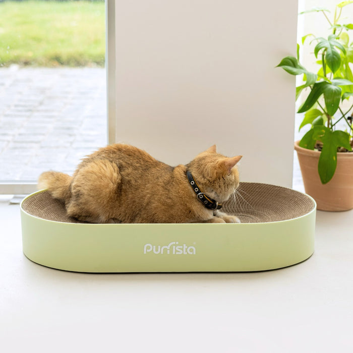 Purrista XL Curved Cat Scratcher | My Rainbow Pets | Green