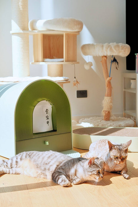 West Coast | Natural Fresh Enclosed Cat Litter Box｜Green