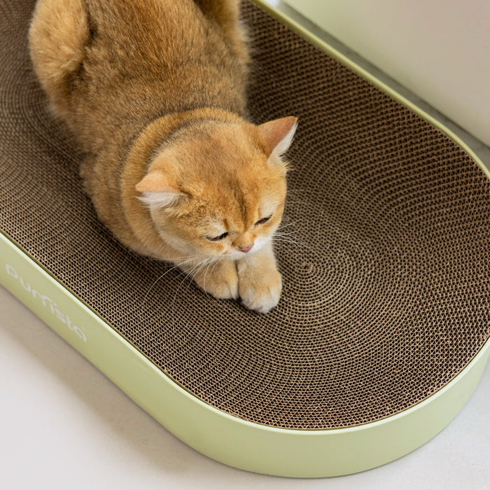 Purrista XL Curved Cat Scratcher | My Rainbow Pets | Green