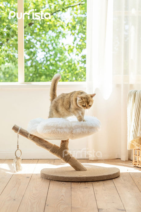 60cm Purrista Natural Wood Cat Tree