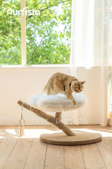 60cm Purrista Natural Wood Cat Tree