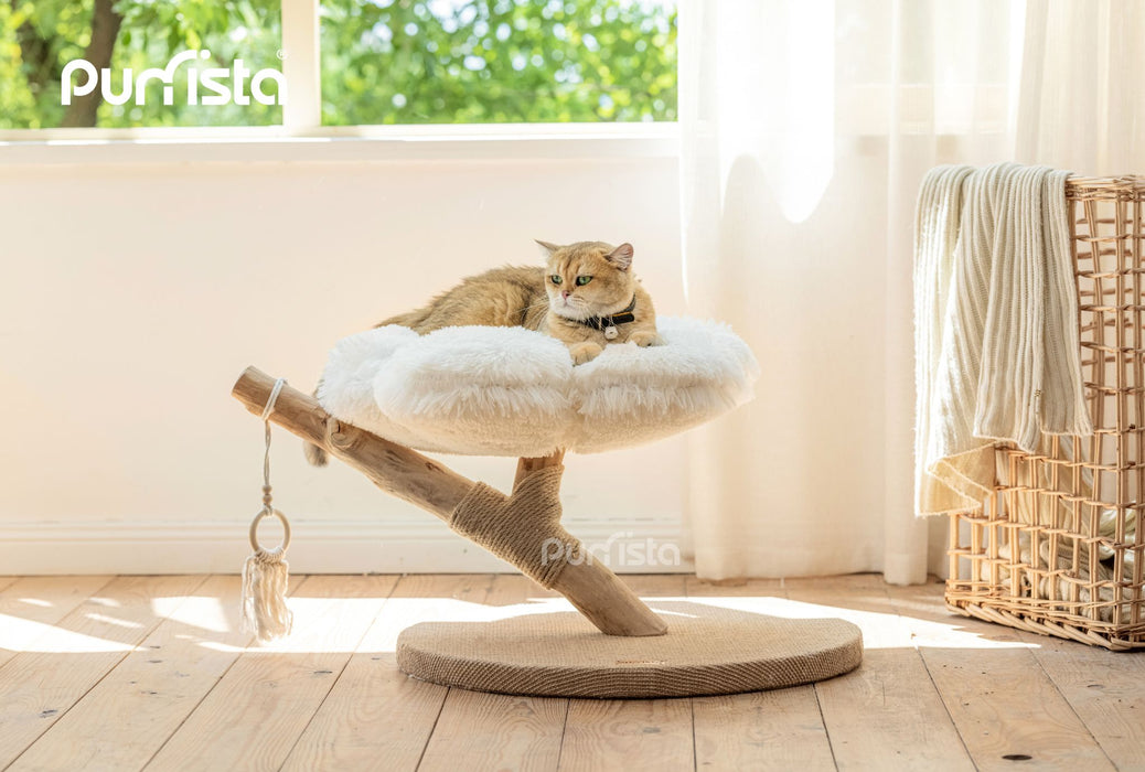 60cm Purrista Natural Wood Cat Tree