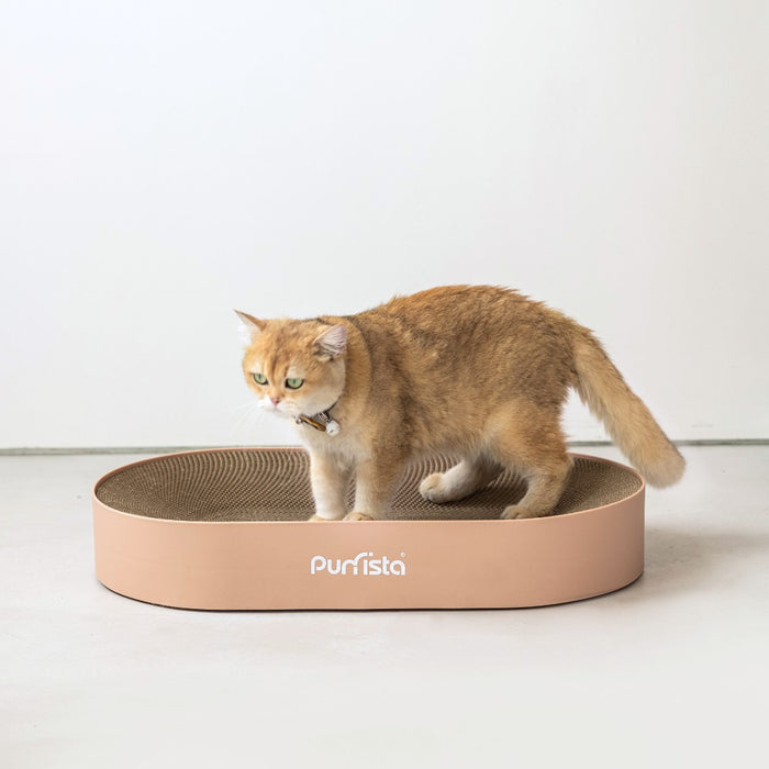 Purrista XL Curved Cat Scratcher | My Rainbow Pets | Pink