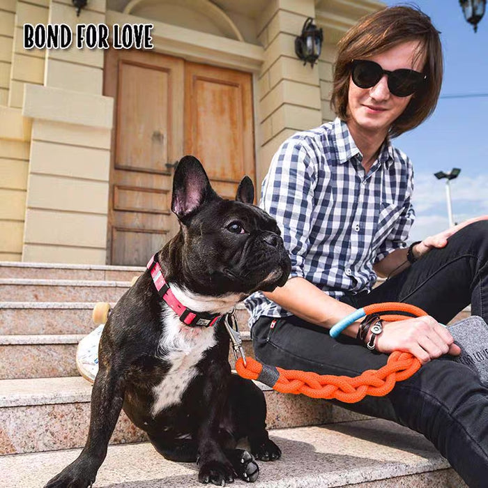 Bond For Love Dog Leashes 01