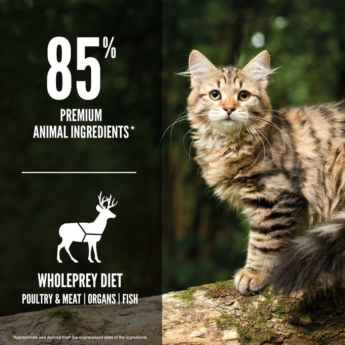 ORIJEN Tundra Grain-Free Dry Cat Food