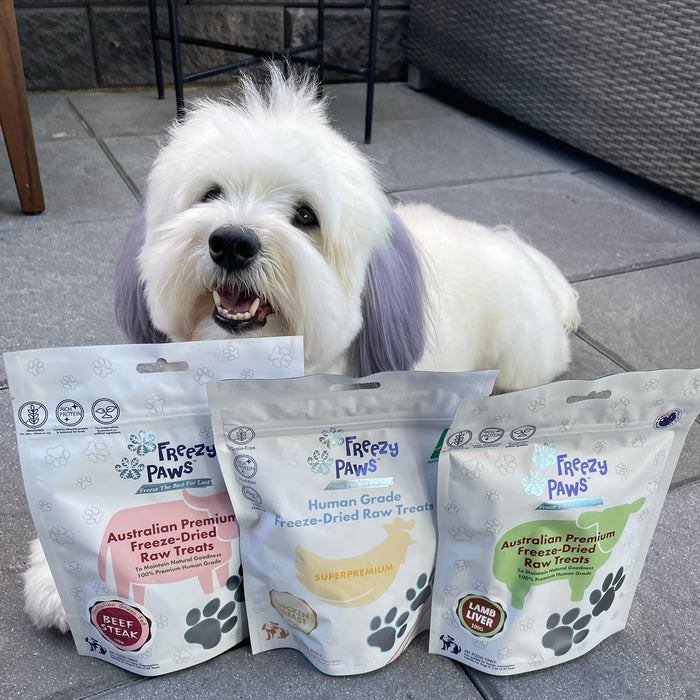 🎄Christmas Holiday Special: Premium Freeze-Dried Pet Treats