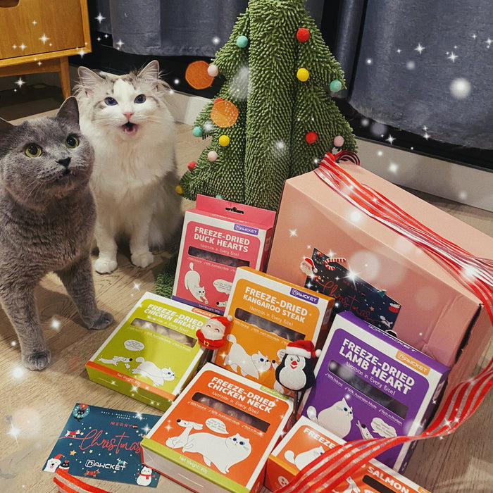 🎄Christmas Holiday Special: Premium Freeze-Dried Pet Treats