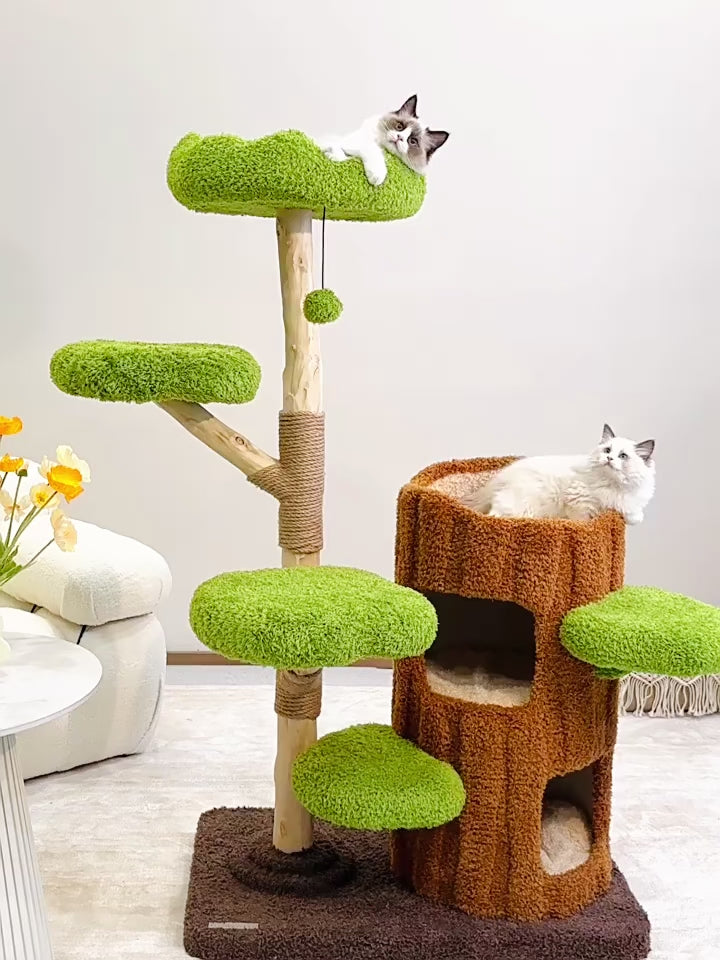 142cm Cmisstree Tree Hole Wooden Cat Tree