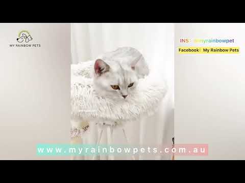 MY RAINBOW PETS — My Rainbow Pet Pty Ltd