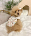 Korean-style summer cute skirt Bear rose Cat Clothes Dog Clothes my rainbow pet