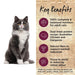 IVORY COAT Grain Free Dry Cat Food Chicken & Kangaroo with Coconut Oil my rainbow pet