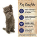 IVORY COAT Grain Free Dry Cat Food Kitten Chicken & Coconut Oil my rainbow pet